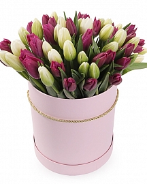 Букет 51 королевский тюльпан в розовой шляпной коробке, бело-пурпурный микс