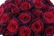 Букет 51 роза Ред Париж в шляпной коробке