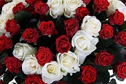 Букет Счастливое число из 101 розы в корзине