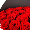 Букет 25 красных роз Эквадор 60 см в черном 50/60 см