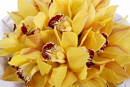 Букет из орхидей Ананасовое мороженое