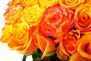 Букет 51 роза, оранжевый микс