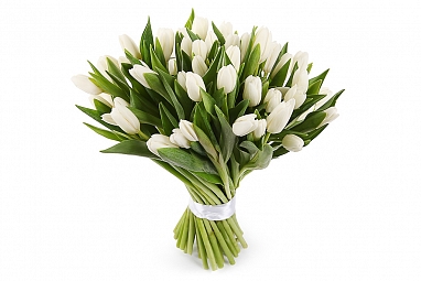 Букет 51 тюльпан, белые