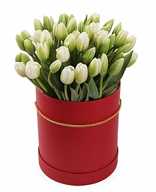 Букет 51 тюльпан в красной шляпной коробке, белые