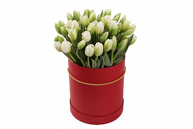 Букет 51 тюльпан в красной шляпной коробке, белые