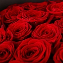 Букет 25 красных роз Эквадор 60 см в черном 50/60 см