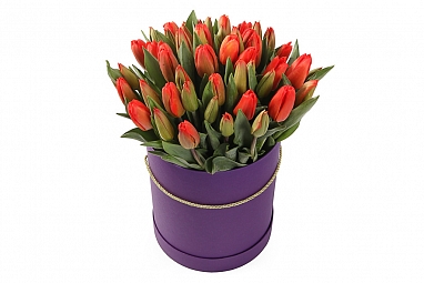 Букет 51 королевский тюльпан в шляпной коробке, красно-оранжевые