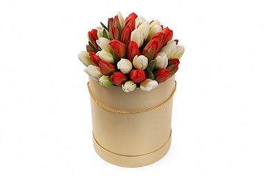 Букет 51 королевский тюльпан в золотой шляпной коробке, красно-белый микс