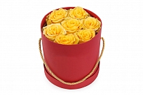 Букет 7 роз Хай Еллоу в шляпной коробке (красная)