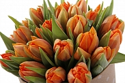 Букет 25 тюльпанов в шляпной коробке, оранжевые