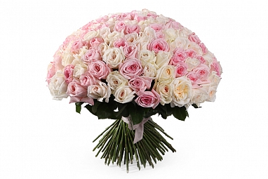 Букет Любовный нектар (151 роза О'Хара)