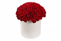 Букет 101 роза Фридом в шляпной коробке