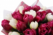 Букет 25 королевских тюльпанов, малиновый микс