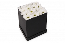 Букет хризантем Черное и белое в шляпной коробке