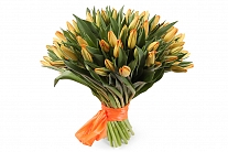 Букет 51 тюльпан, оранжевые