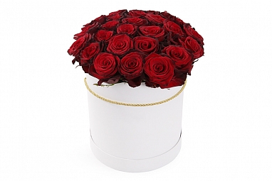 Букет из 25 красных роз Ред Париж в шляпной коробке