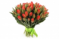 Букет 51 королевский тюльпан, красно-оранжевые