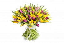Букет 101 тюльпан, желто-фиолетовые