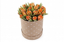 Букет 25 тюльпанов в шляпной коробке, оранжевые