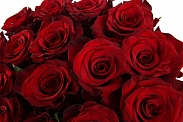 Букет 15 роз Ред Париж
