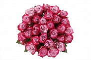 Букет 31 роза Дип Перпл
