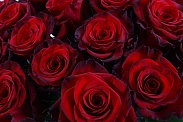 Букет 35 роз Ред Париж