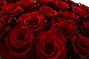 Букет 31 роза Ред Париж