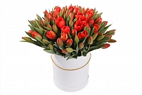 Букет 101 королевский тюльпан в белой шляпной коробке, красно-оранжевые