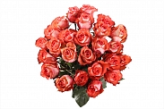Букет 25 роз Игуана, коралловые