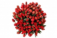 Букет 101 королевский тюльпан, красные