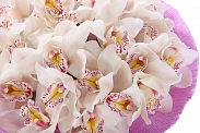 Букет из орхидей Ванильное мороженое