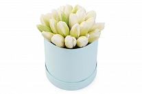 Букет 25 королевских тюльпанов в голубой шляпной коробке, белые