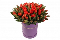 Букет 101 королевский тюльпан в фиолетовой шляпной коробке, красно-оранжевые