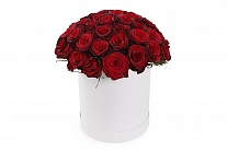 Букет 51 роза Ред Париж в шляпной коробке