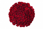 Букет из 101 красной розы Ред Париж