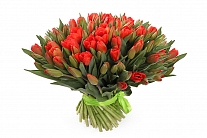 Букет 101 королевский тюльпан, красно-оранжевые