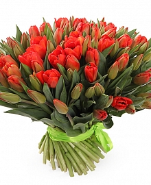Букет 101 королевский тюльпан, красно-оранжевые