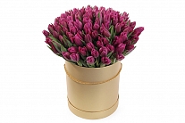 Букет 101 королевский тюльпан в коричневой шляпной коробке, пурпурные