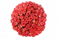Букет 101 роза Игуана, коралловая