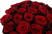 Букет из 25 красных роз Ред Париж в шляпной коробке