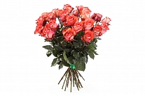 Букет 25 роз Игуана, коралловые
