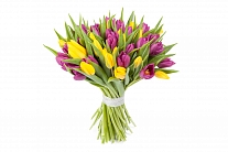 Букет 51 тюльпан, желто-фиолетовые