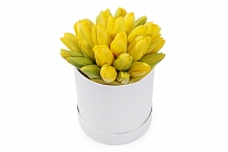 Букет 25 королевских тюльпанов в белой шляпной коробке, желтые