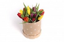 Букет 15 тюльпанов микс в шляпной коробке (крупный горох)