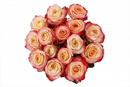 Букет 15 роз Кабаре