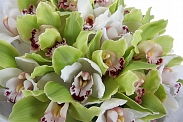 Букет из орхидей Фисташковое мороженое