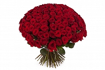 Букет из 101 красной розы 60/70 см
