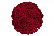Букет из 101 красной розы 60/70 см