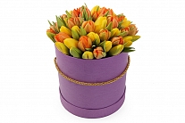 Букет 51 королевский тюльпан в шляпной коробке, солнечный микс