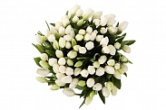 Букет 101 королевский тюльпан, белые